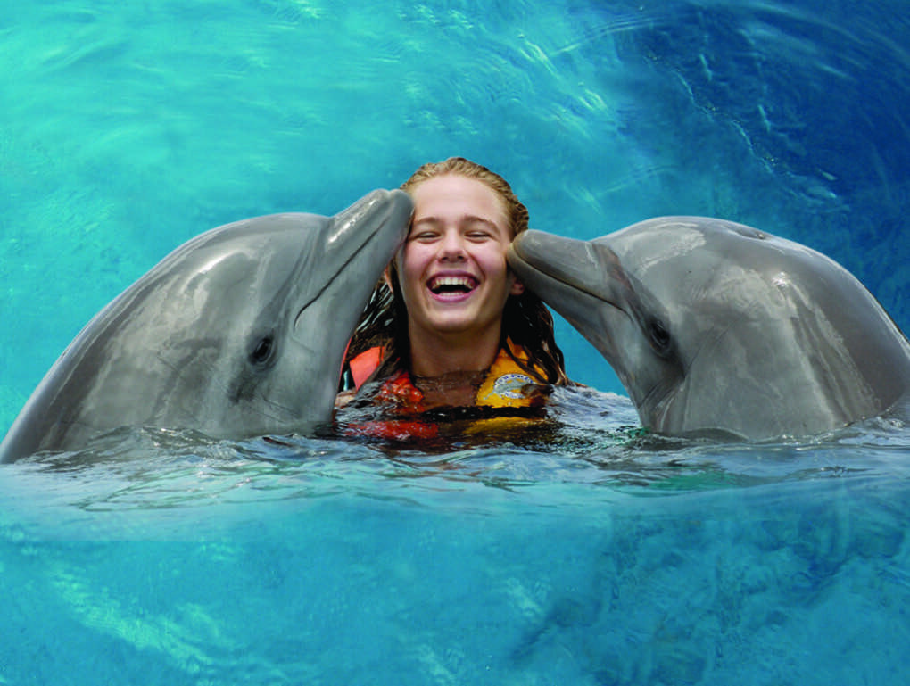 10 причин, почему все дельфинарии надо закрыть