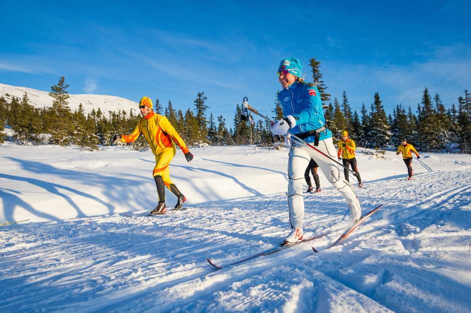 Техника классической ходьбы на лыжах
