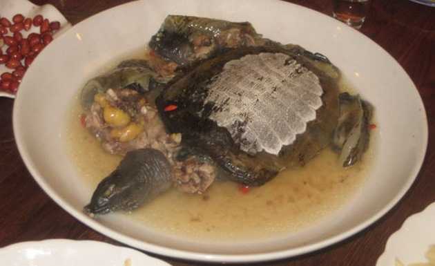 Черепаший суп - turtle soup