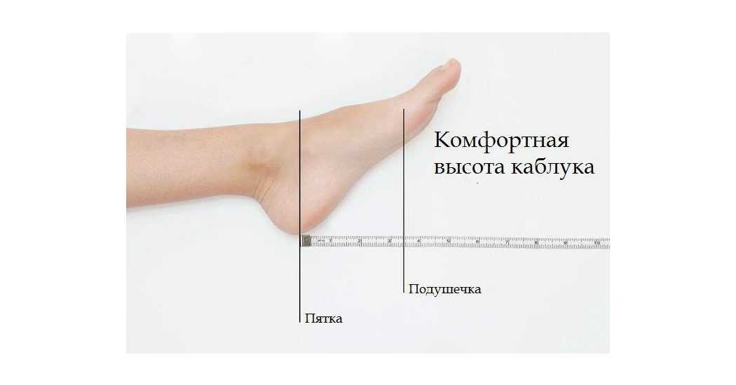 Как определить ширину голенища у сапог: замеры голенища и соответствие размеру обуви art-textil.ru