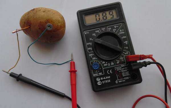 Батарейка из картошки: как сделать? сколько вольт выдает?