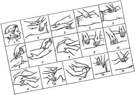 Как делать массаж собаке: 14 шагов (с иллюстрациями)
