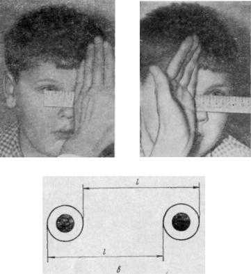 Как определить расстояние между зрачками для очков — офтальмология