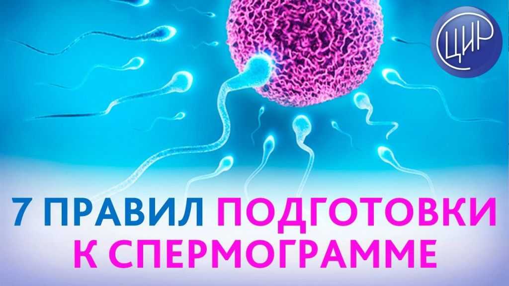 Качество спермы: показатели, нормы, методы повышения качества