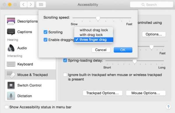 Как пользоваться приложением фото на mac (macos): как накладывать фильтры и редактировать изображения
