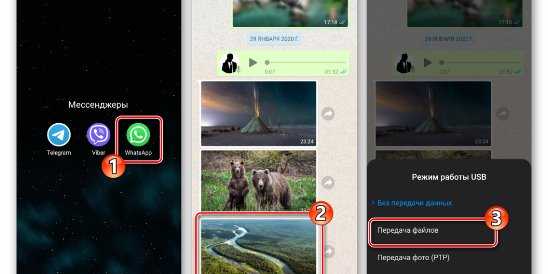 Как отправить большое видео в whatsapp на android