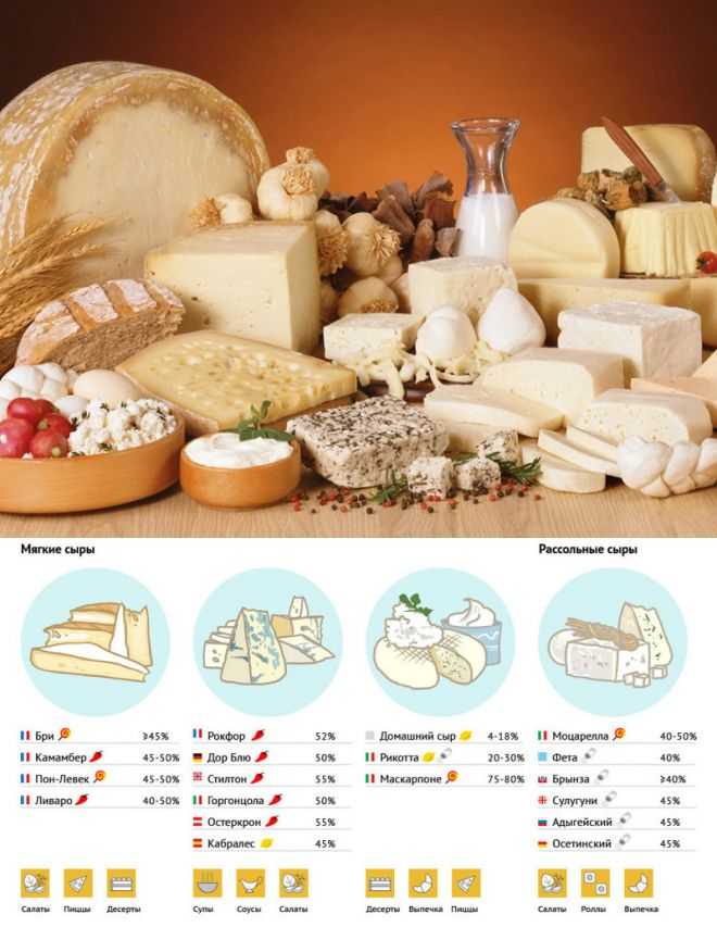Узнайте, какой сыр полезнее? как правильно выбирать сыр?