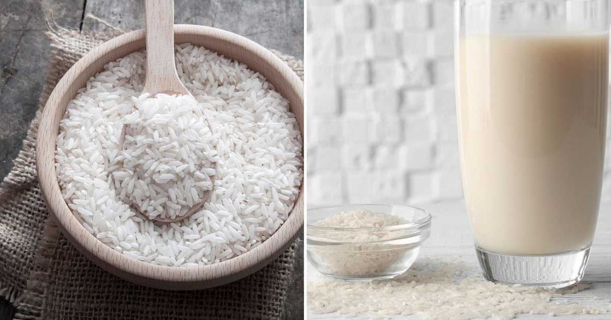 Как сварить рисовую кашу на молоке, воде или в мультиварке, рецепт с фото пошаговый подробный