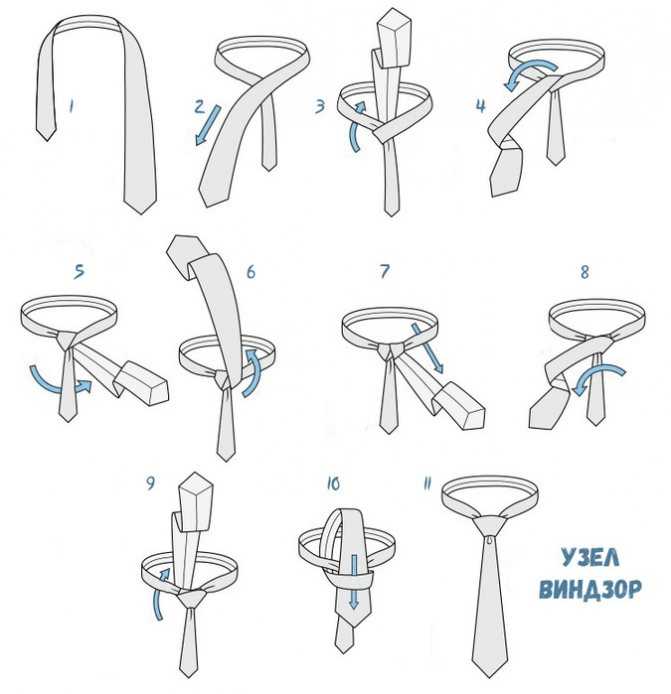 Как завязывать виндзорский узел галстука :: syl.ru