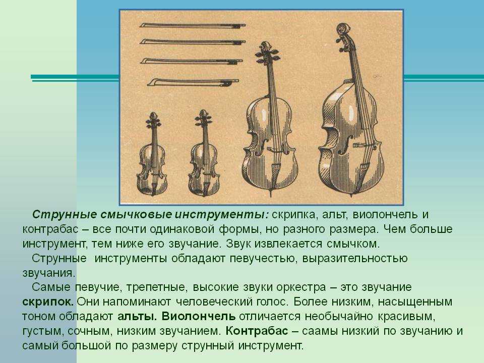 Скрипка определение. Струнно-смычковые инструменты симфонического оркестра скрипка. Струнно смычковые инструменты симфонического оркестра контрабас. Скрипка струнно смычковый инструмент. Струнно смычковые инструменты доклад Альт.