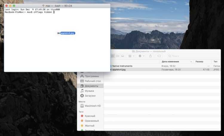 Как показать скрытые файлы и папки в mac os на macbook: 4 способа
