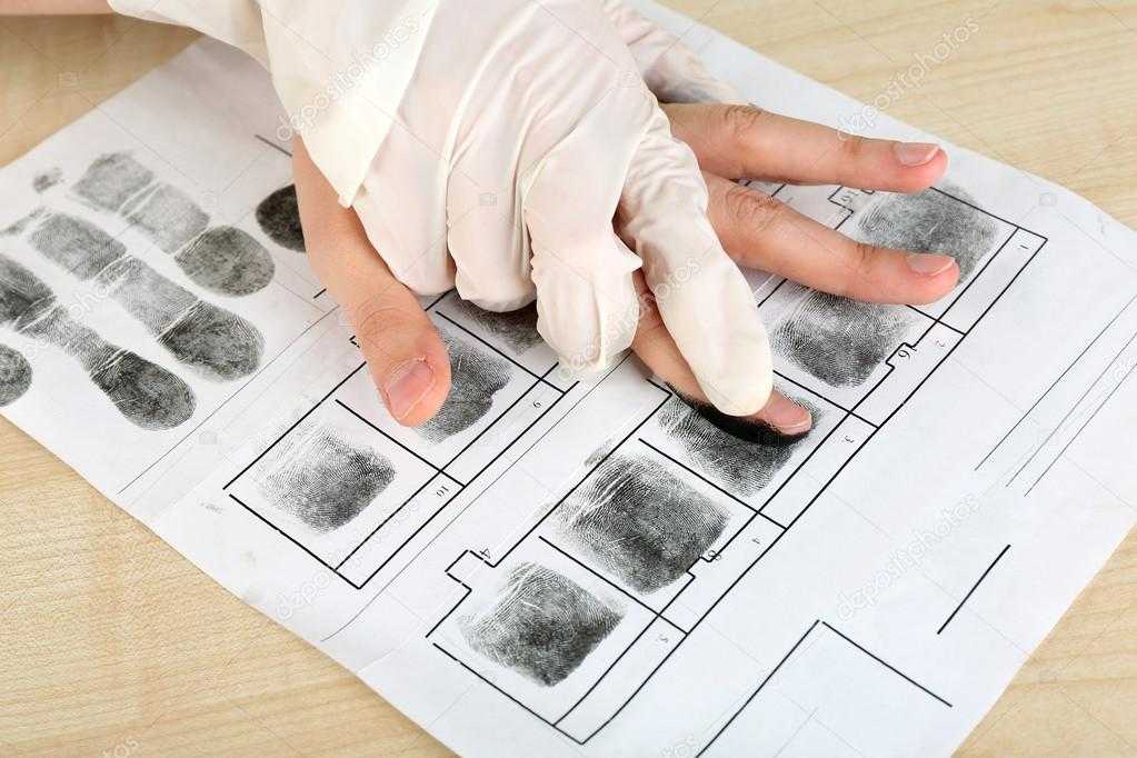 Технолого-криминалистическое обоснование выбора дактилоскопических порошков для выявления следов рук