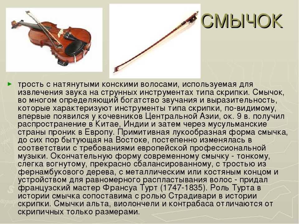 Устройство и строение скрипки