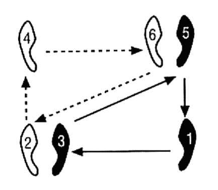 Классический вальс (танец): шаги, повороты
