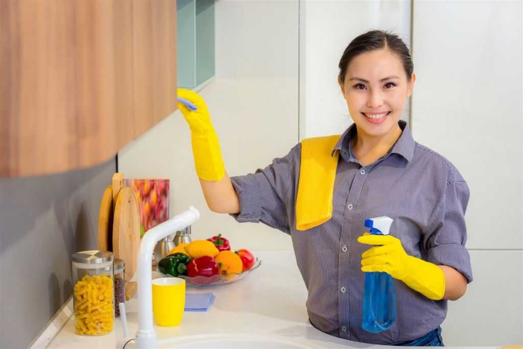 Уборка кухни, как правильно провести генеральную уборку кухни, какие средства применять для облегчения уборки