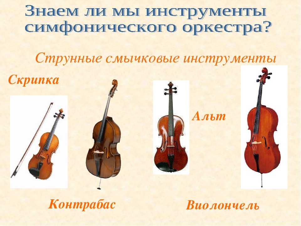 Типы скрипок. Струнные смычковые инструменты Альт. Струнно смычковые инструменты названия. Струнно-смычковые музыкальные инструменты названия. Музыкальные струнные смычковые инструменты смычковые.
