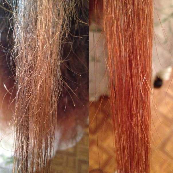 Восстановление волос в домашних условиях более чем реально